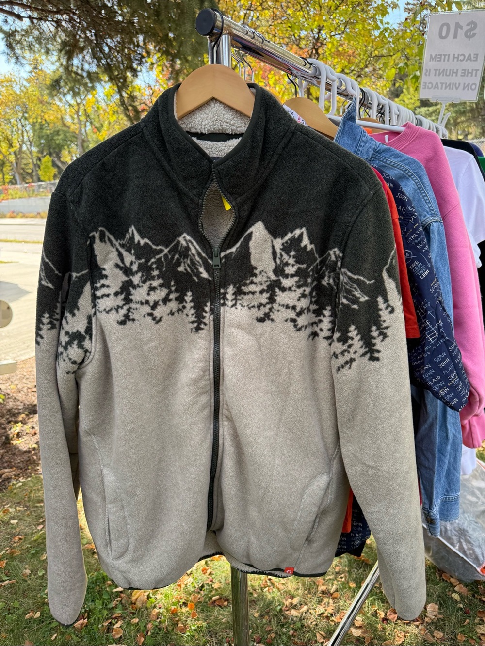 Men's Mountain Pattern Zip-Up Fleece Jacket - Gray & Black